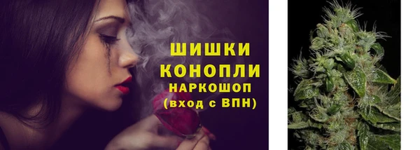 эйфоретик Гусь-Хрустальный