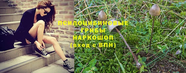 mix Дмитров