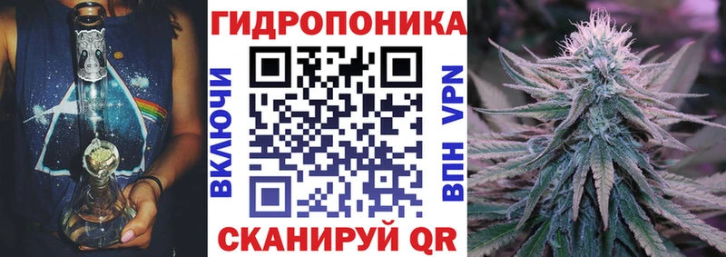 блэк спрут как войти  наркошоп  Каргат  Каннабис MAZAR 